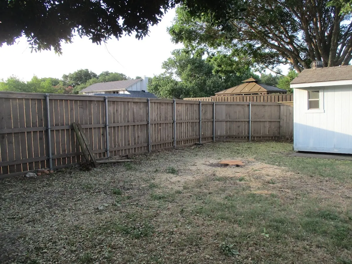 Cleared yard after professional tree removal in Sheridan Lake
